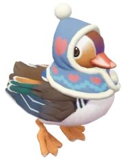 Marreco-mandarim com Roupa de Inverno