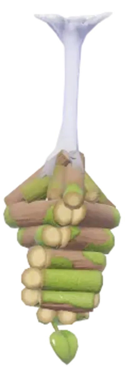 Bicho-do-cesto Espiral