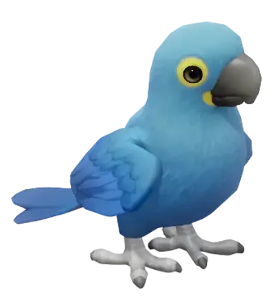 Arara-azul-de-lear