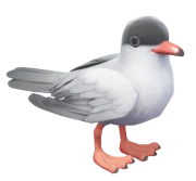 Gaivina