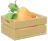 Cenoura