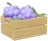 Grape