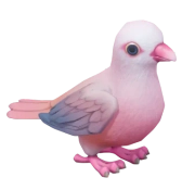 Pomba Rosa