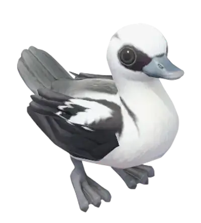Pato-branco