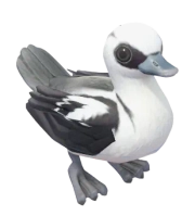 Pato-branco