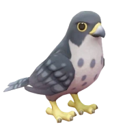 Falcão-peregrino