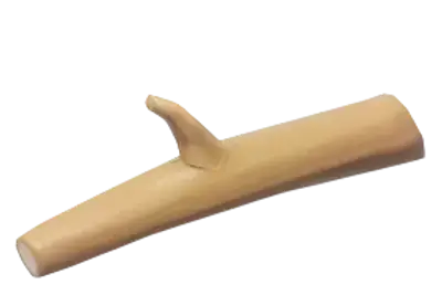 Galho de Arbusto