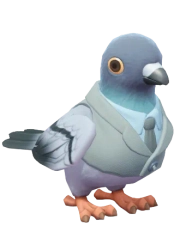 Pombinho Cavalheiro Cinza