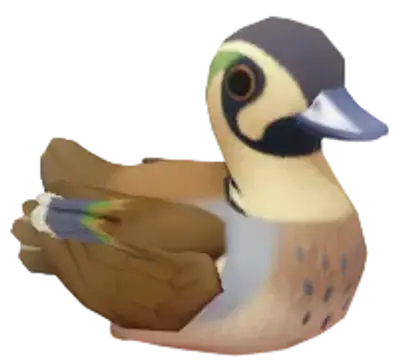Pato-de-baikal