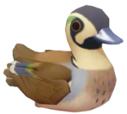 Pato-de-baikal