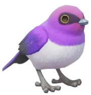 Estorninho Roxo