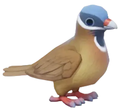Pomba-perdiz