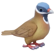 Pomba-perdiz