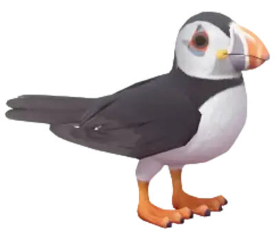Papagaio Ártico
