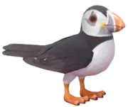 Papagaio Ártico