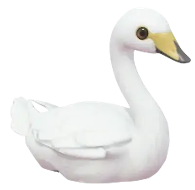 Cisne-bravo