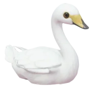 Cisne-bravo