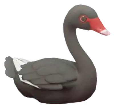Cisne-negro