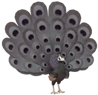 Pavão-negro