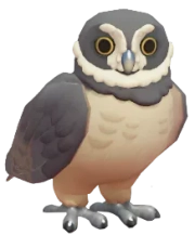 Murucututu