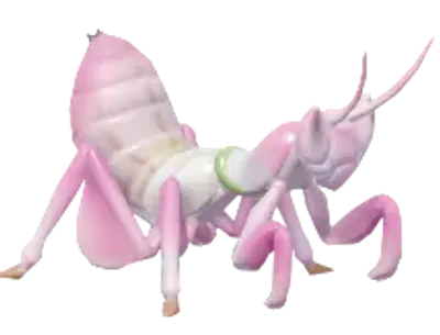 Orchid Mantis | Wiki: Heartopia