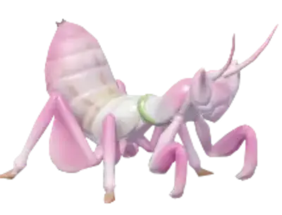 Orchid Mantis | Wiki: Heartopia