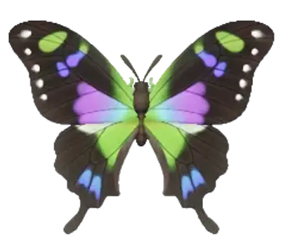 Graphium-rosa