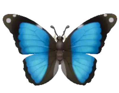Scarce Morpho | Wiki: Heartopia