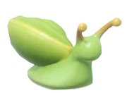 Caracol Verde