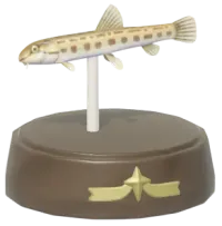 Trofeo