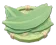 Bamboo Leaf