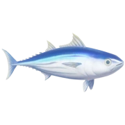 Bonito
