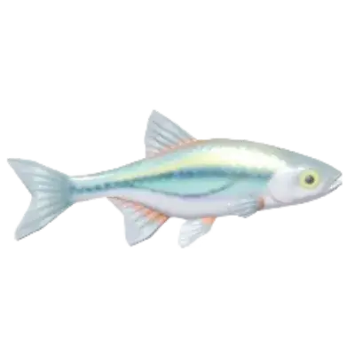 Albete