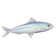 Sardinha