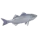 Robalo