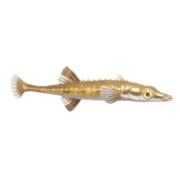 Peixe-espinho