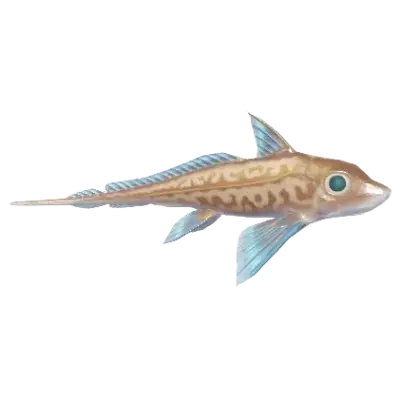 Quimera Monstruosa