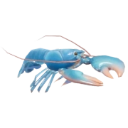 Lavagante