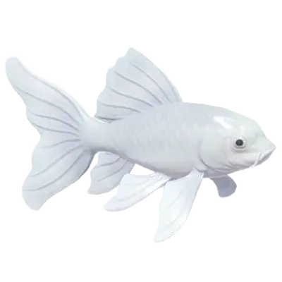 Koi Borboleta