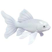 Koi Borboleta