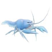 Lagostim Nórdico Azul