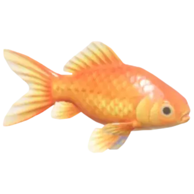 Peixinho-dourado