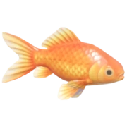 Peixinho-dourado