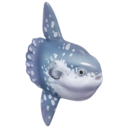 Peixe-lua