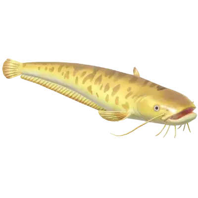 Siluro
