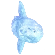 Peixe-lua Cristalino
