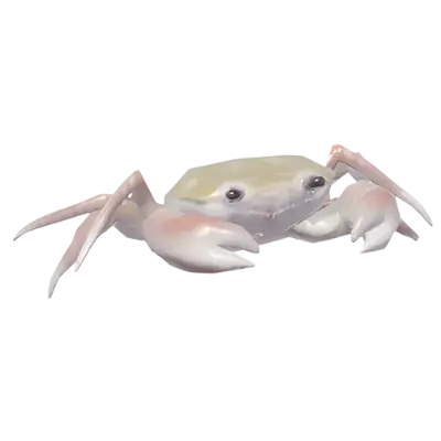 Caranguejo de Riacho
