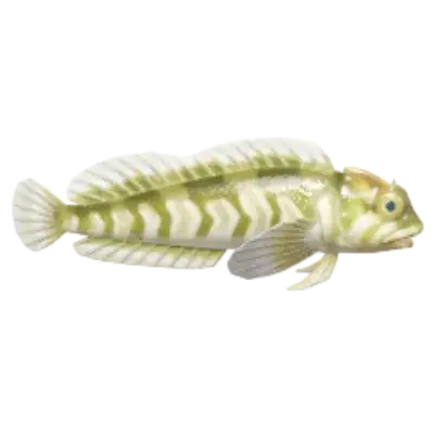 Blênio