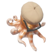 Polvo Anão Diretor de Chapéu Marrom