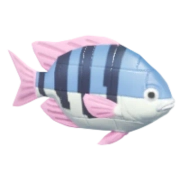 Peixe-palhaço de Blocos Azul